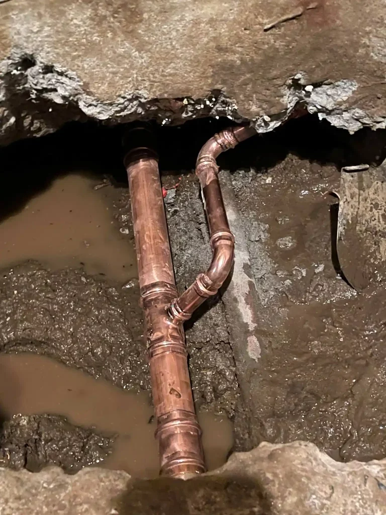 Expert Water Leak Detection and Repair Service in Puyallup