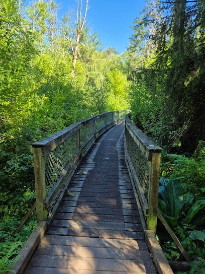 Hylebos Nature Area