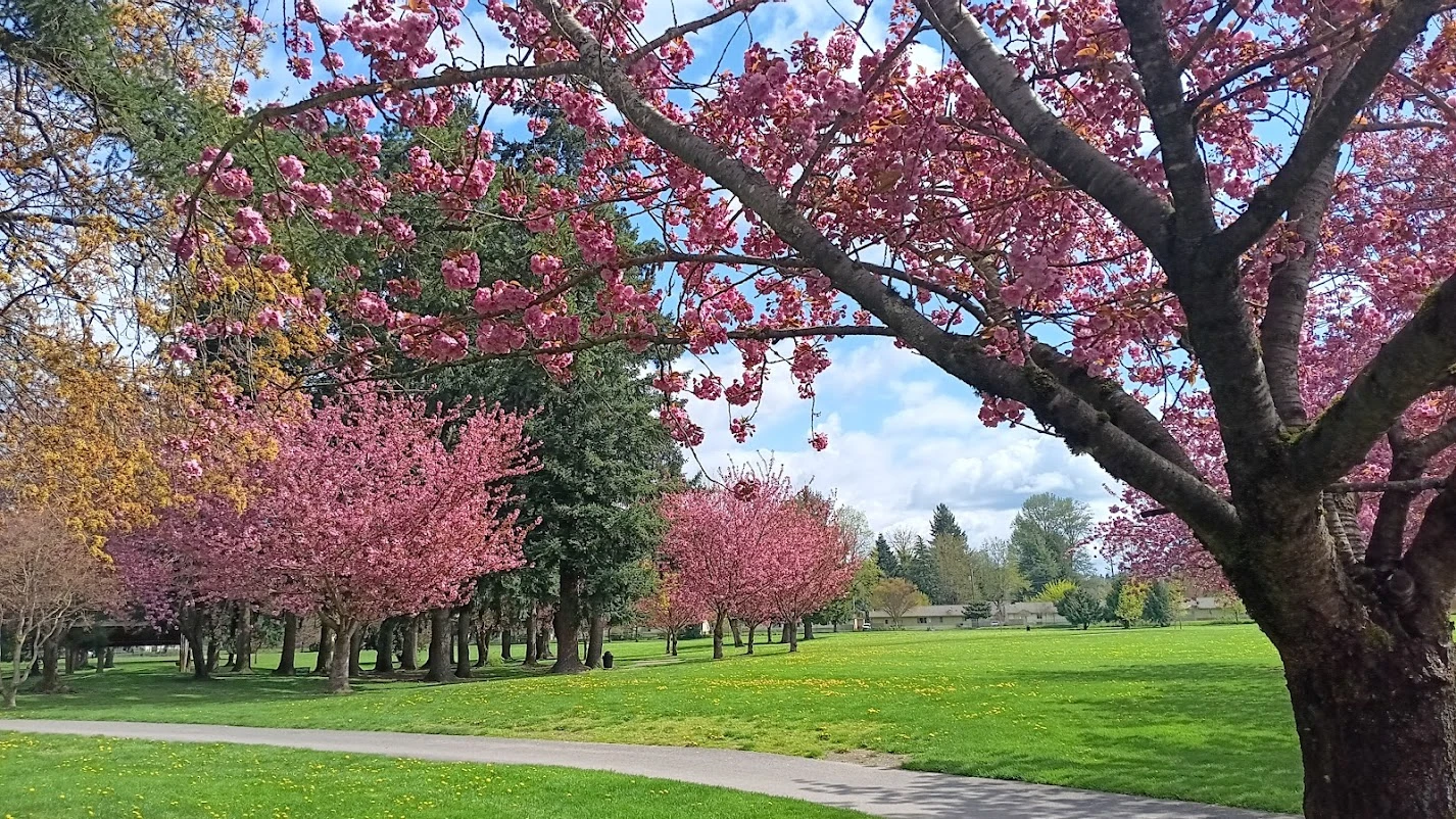 Les Gove Park