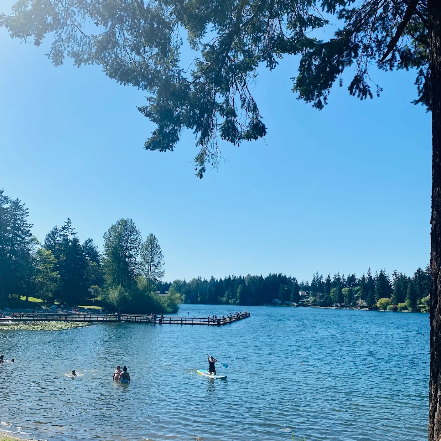 Steel Lake Park Family Funland