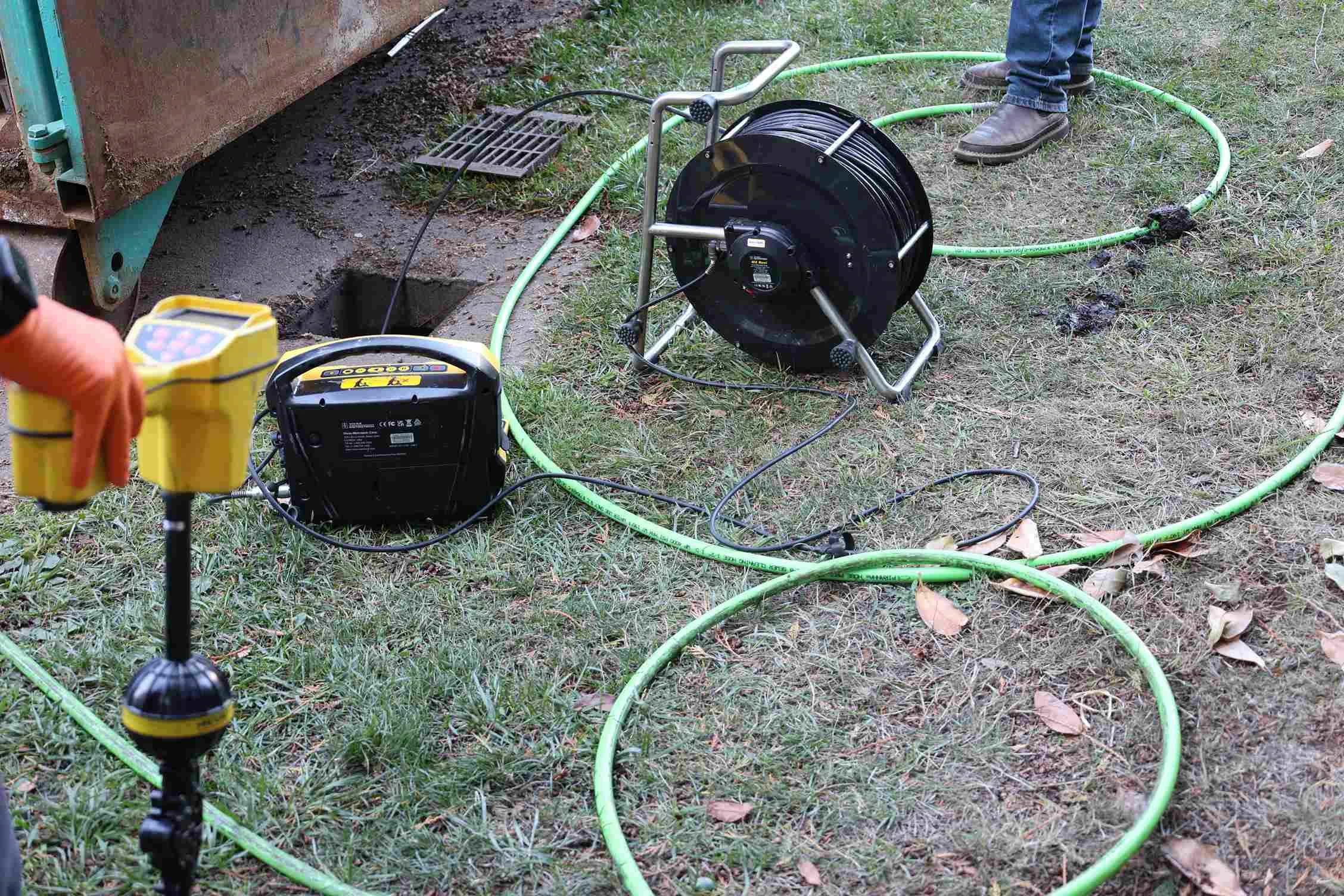 How Tree Roots Damage Sewer Lines and How to Fix Them