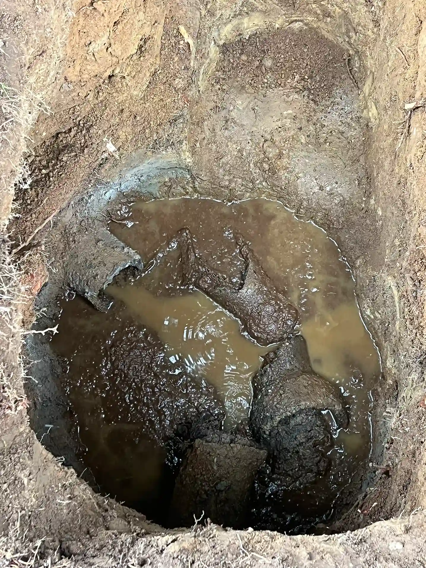 Drain Line Replacement Services