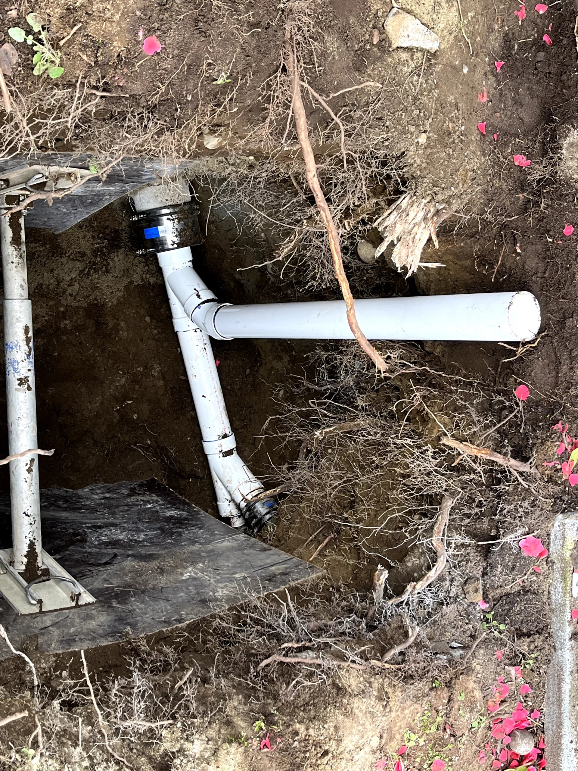 Drain Cleanout vs Drain Cleaning: Key Differences Explained