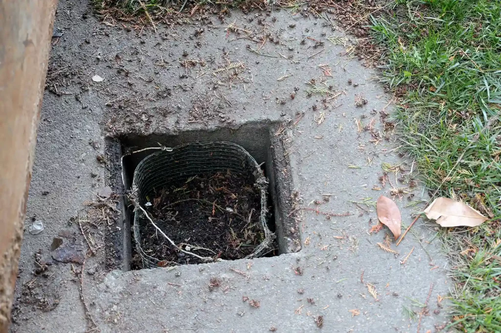 Signs You Need Professional Drain Cleaning Now